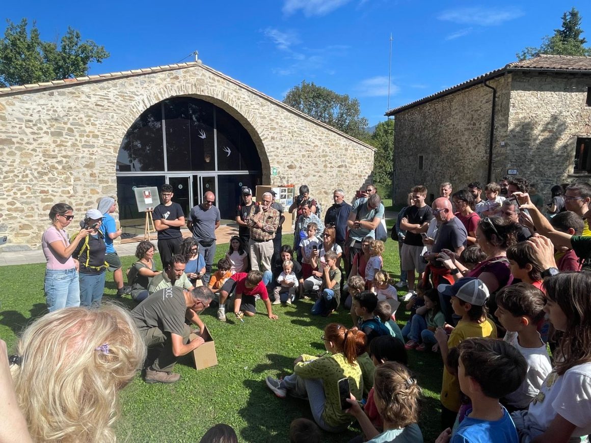 Alliberament d’ocells recuperats a càrrec del cos d’agents rurals