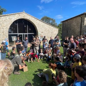 Alliberament d’ocells recuperats a càrrec del cos d’agents rurals