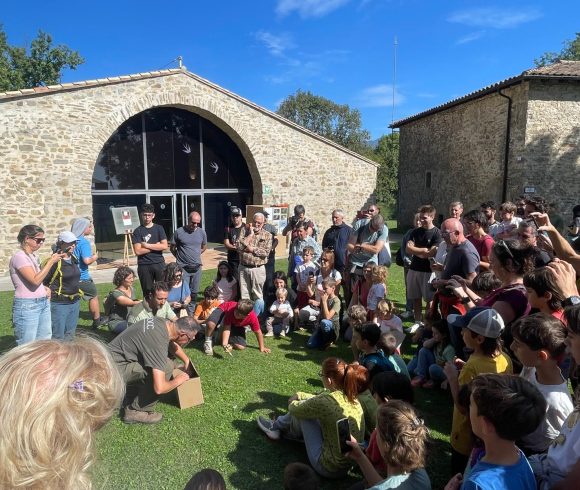 Alliberament d’ocells recuperats a càrrec del cos d’agents rurals