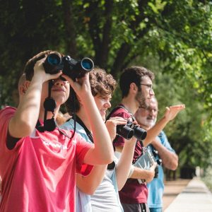 Sortida d’observació d’ocells a la vora del Ter