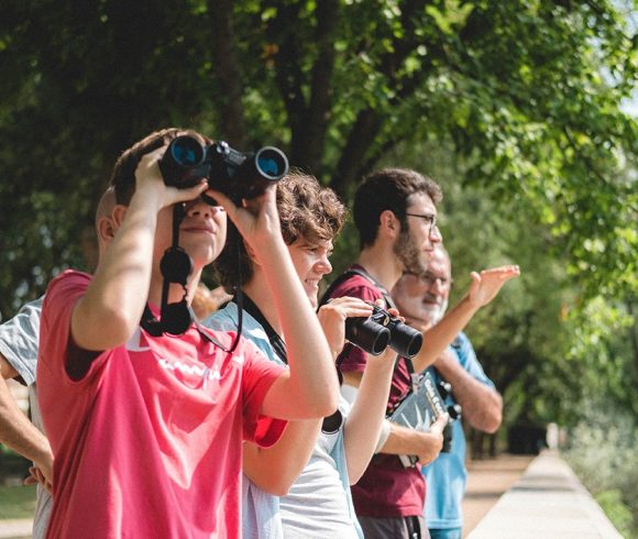 Sortida d’observació d’ocells a la vora del Ter