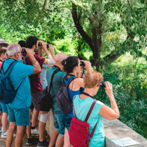 Birding Ter: neix una nova fira dedicada a l’ornitologia i al turisme de natura