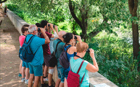 Birding Ter: neix una nova fira dedicada a l’ornitologia i al turisme de natura