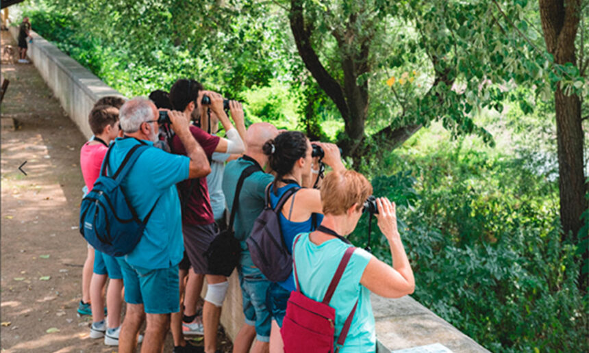 Birding Ter: neix una nova fira dedicada a l’ornitologia i al turisme de natura