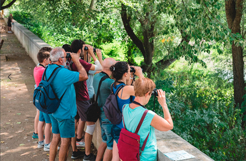 Birding Ter: neix una nova fira dedicada a l’ornitologia i al turisme de natura Birding Ter: neix una nova fira dedicada a l’ornitologia i al turisme de natura
