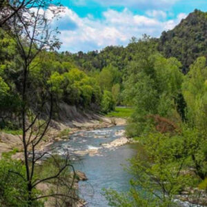 Birding Ter: una iniciativa col·lectiva per posar en valor el patrimoni natural del riu