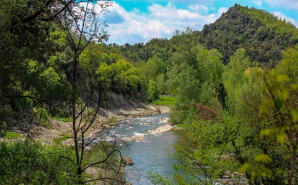 Birding Ter: una iniciativa col·lectiva per posar en valor el patrimoni natural del riu