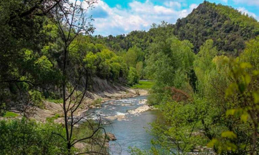 Birding Ter: una iniciativa col·lectiva per posar en valor el patrimoni natural del riu