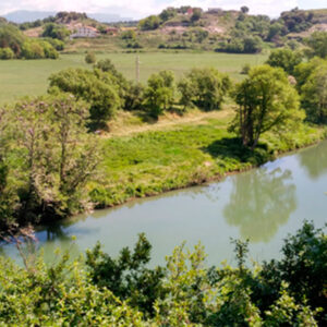 La colònia d’ardeids de Masies de Voltregà: un dels tresors ornitològics del riu Ter