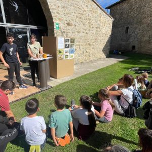 Concurs infantil d’identificació d’ocells