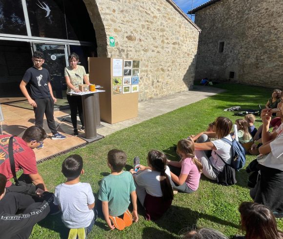 Concurs infantil d’identificació d’ocells