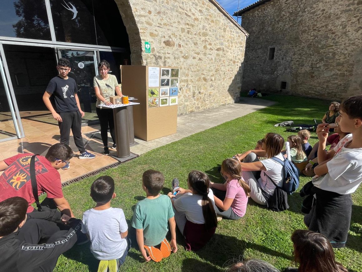 Concurs infantil d’identificació d’ocells