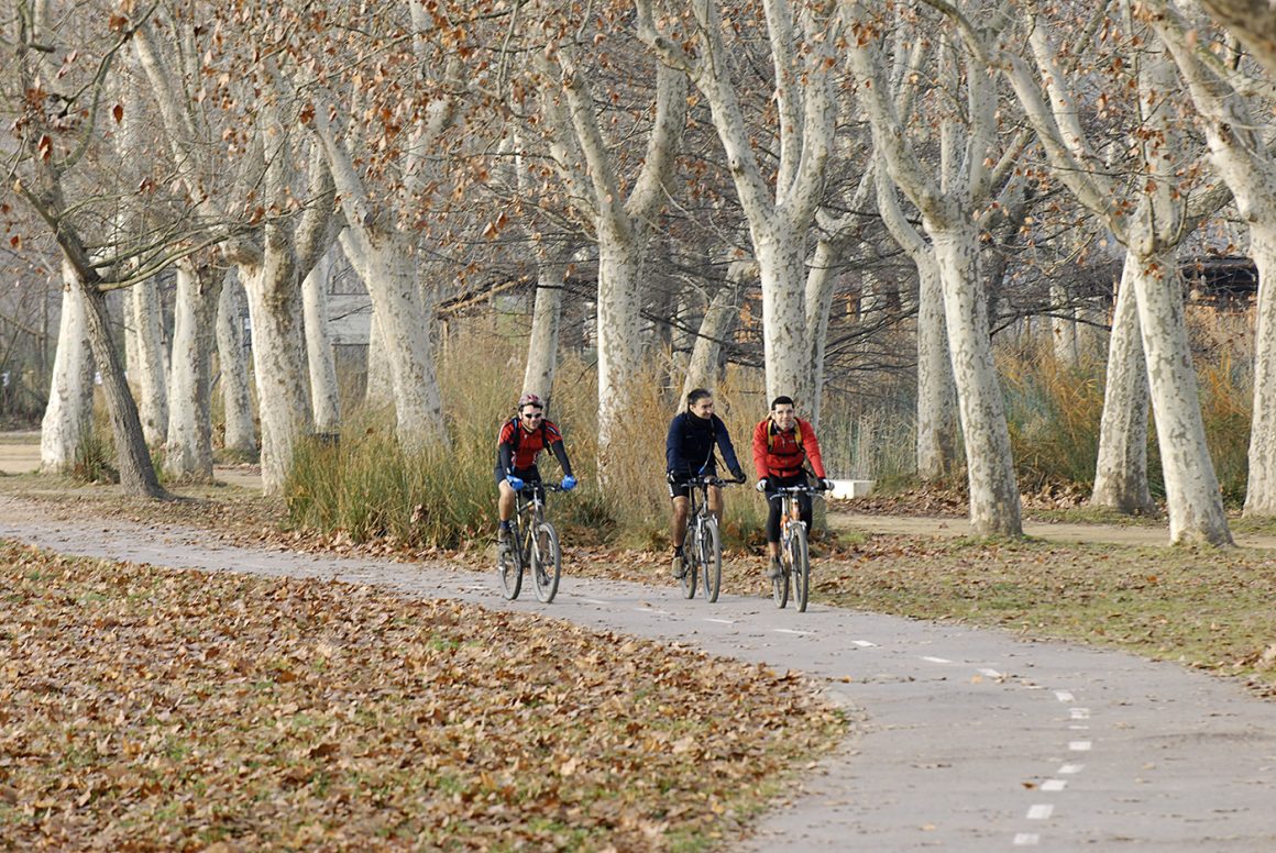 Sortida amb bicicleta fins a l’observatori de la colònia d’ocells ardeids de les Masies de Voltregà