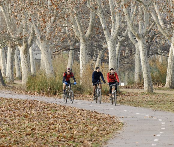Sortida amb bicicleta fins a l’observatori de la colònia d’ocells ardeids de les Masies de Voltregà