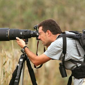 Sortida fotogràfica amb furgoneta fins a l’observatori de la colònia d’ocells ardèids de les Masies de Voltregà a càrrec d’Otus Wildlife Tours