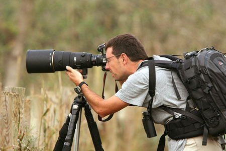 Sortida fotogràfica amb furgoneta fins a l’observatori de la colònia d’ocells ardèids de les Masies de Voltregà a càrrec d’Otus Wildlife Tours