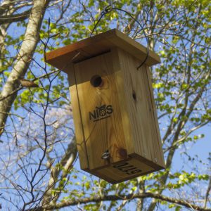 Taller de caixes niu a càrrec de Fundació Areté