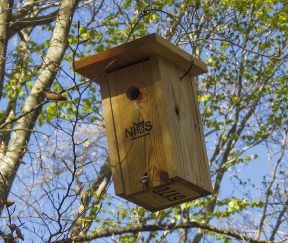 Taller de caixes niu a càrrec de Fundació Areté