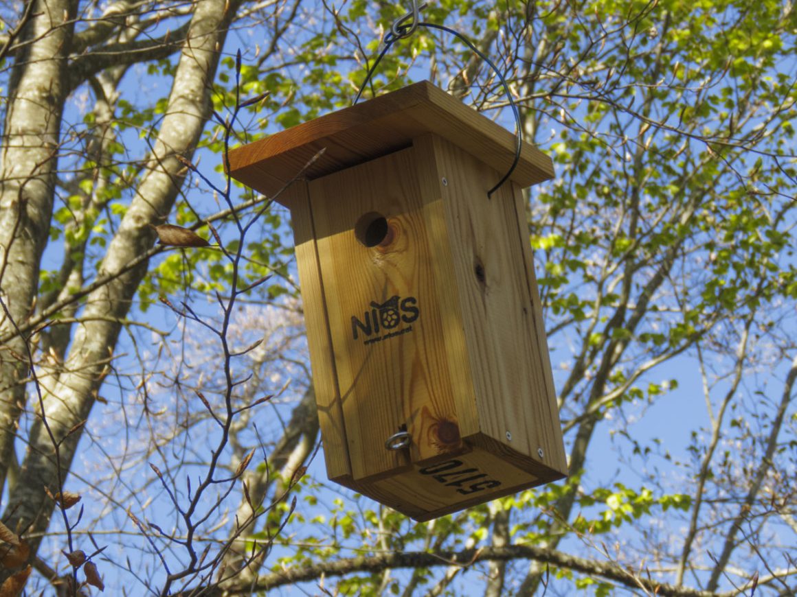 Taller de caixes niu a càrrec de Fundació Areté
