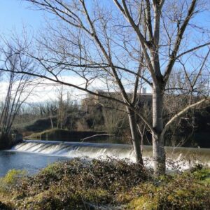 Recerca i eduació ambiental i divulgació científica