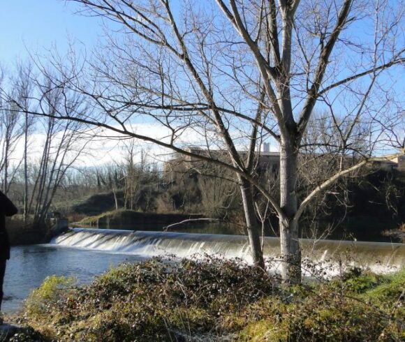 Recerca i eduació ambiental i divulgació científica