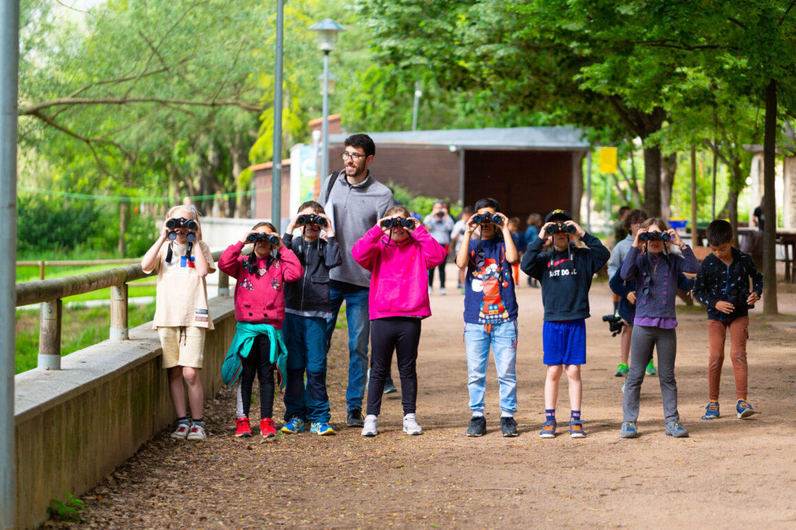 Tallers d’educació ambiental Museu del Ter
