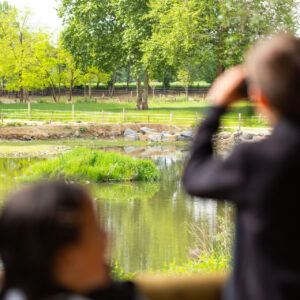 Taller ‘Els habitants del riu’