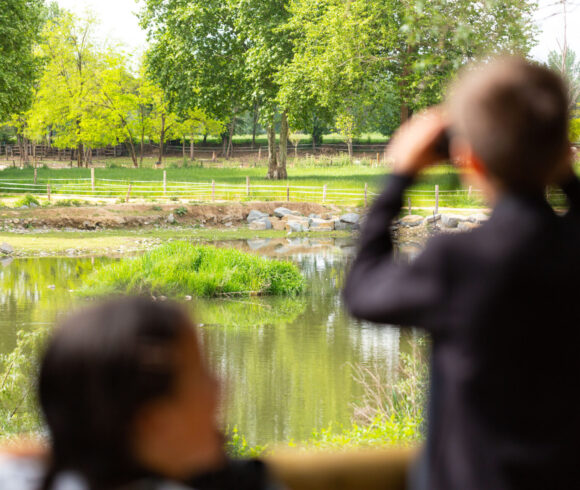 Taller ‘Els habitants del riu’