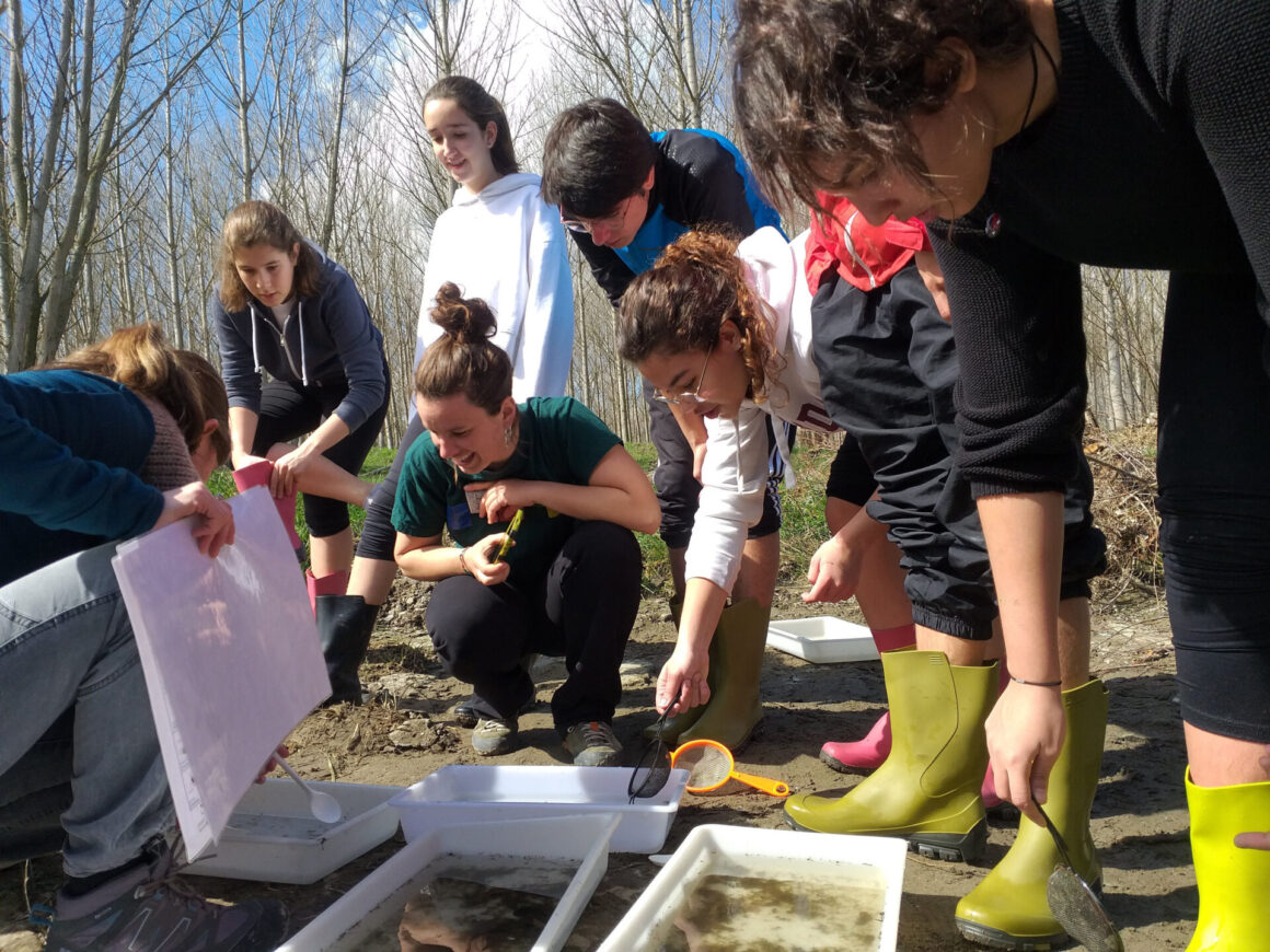 Taller ‘Investiguem l’estat de salut del riu’