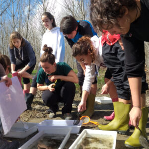 Taller ‘Investiguem l’estat de salut del riu’