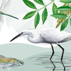 Recursos naturals del riu Ter