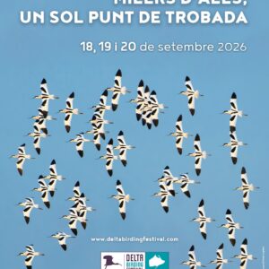 El Birding Ter participarà al Delta Birding Festival